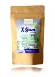 XYLIPUR� X-Gum natural Pur - Chicle Kaugummi Vorteilspack 80g