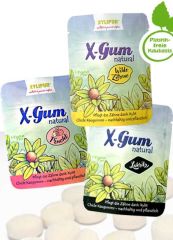 3er Set X-Gum natural - Chicle Zahnpflegekaugummi 120g