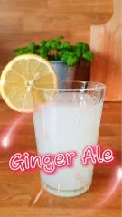 Ginger Ale ohne Zuckerzusatz  Dein erfrischendes Detox-Getrnk