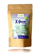 XYLIPUR X-Gum natural Pur - Chicle Kaugummi Vorteilspack 80g