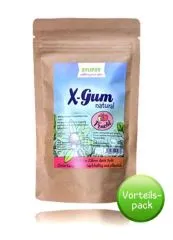 XYLIPUR X-Gum natural Frucht - Chicle Zahnpflegekaugummi Vorteilspack 80g